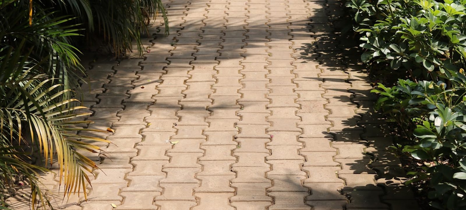 Gepflasterter Weg zwischen Beeten